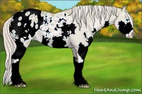 Horse Color:Watercolor Chocolate Palomino Splash Appaloosa Rabicano 