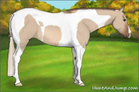 Horse Color:Liver Red Dun Tobiano 