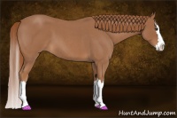 Horse Color:Red Roan Splash 