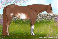 Horse Color:Chestnut Frame 
