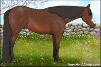 Horse Color:Bay Frame