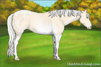 Horse Color:White Spotted Silver Smoky Black Pearl Tobiano 
