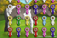 Horse Color:Black Tobiano Rabicano