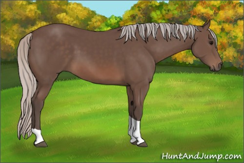 Horse Color: Silver Black Tobiano 