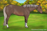 Horse Color:Silver Black Tobiano 