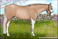 Horse Color:Silver Black Pearl Sabino Rabicano 