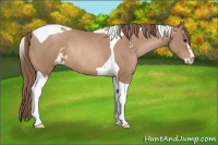 Horse Color:Black Pearl Sabino Tobiano Rabicano 