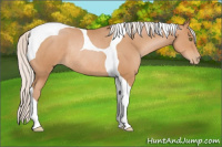 Horse Color:Silver Bay Pearl Tobiano Rabicano 