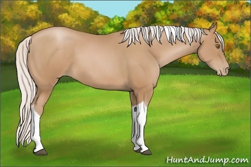 Horse Color: Silver Black Pearl Tobiano 