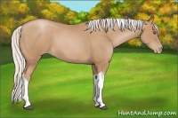 Horse Color:Silver Black Pearl Tobiano