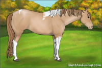 Horse Color:Black Pearl Tobiano 