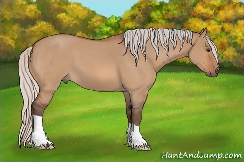 Horse Color: Silver Bay Roan Dun 