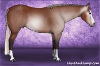 Horse Color:Gray Silver Bay Splash 