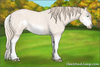Horse Color:Perlino Roan Splash Frame Rabicano 
