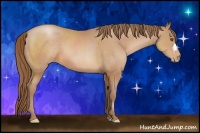 Horse Color:Brown Pearl 