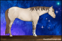 Horse Color:Grullo Pearl