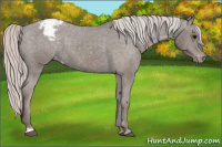 Horse Color:Silver Brown Snowcap 