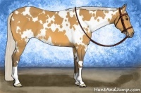 Horse Color:White Spotted Silver Buckskin