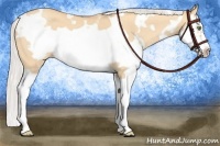 Horse Color:White Spotted Silver Amber Champagne Dun Splash Frame