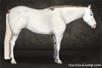 Horse Color:Buckskin Ice Pearl Dun Splash Rabicano 