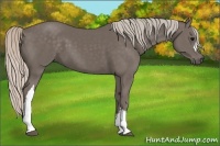 Horse Color:Silver Black 