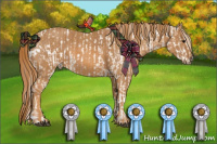 Horse Color:Black Pearl Sabino Appaloosa Brindle