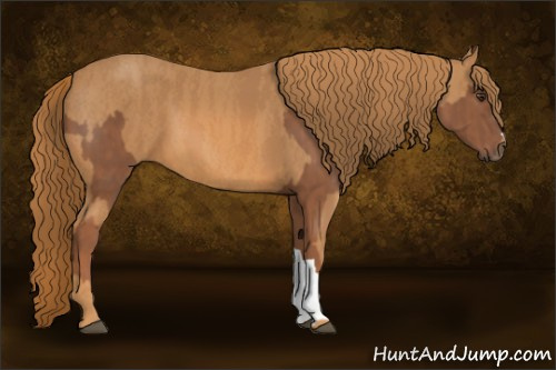 Horse Color: Chestnut  Brindle