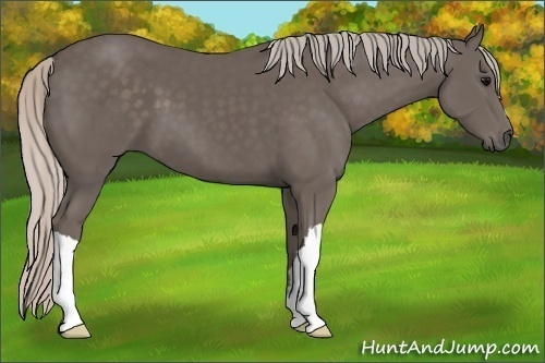Horse Color:Silver Black 