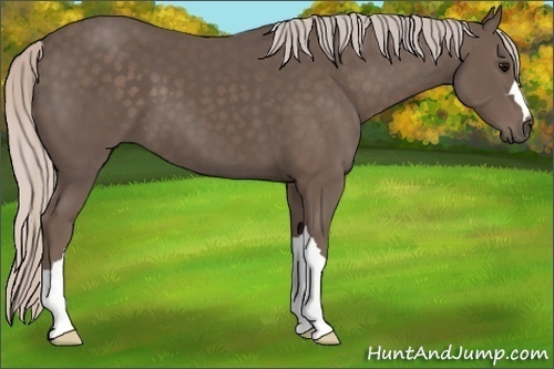 Horse Color:Silver Black 