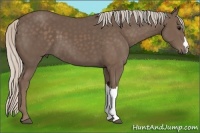 Horse Color:Silver Black 