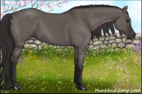 Horse Color:Smoky Grullo 