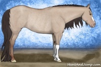 Horse Color:Classic Champagne Dun Rabicano 