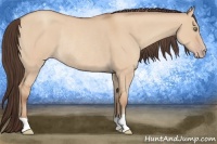 Horse Color:Amber Champagne Dun Rabicano 