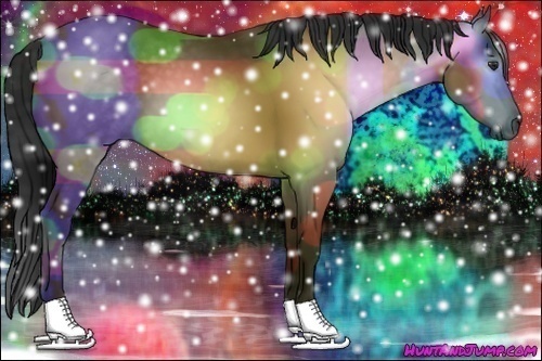 Horse Color:Gray Buckskin 