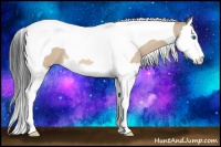 Horse Color:Bay Dun Splash Tobiano 