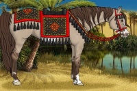 Horse Color:Liver Red Dun Frame Rabicano 