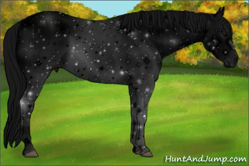 Horse Color: ERROR: UNKNOWN ANOMALY