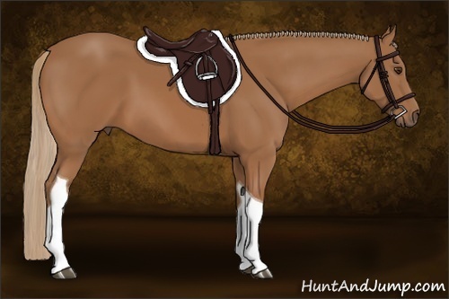 Horse Color:Chestnut Tobiano