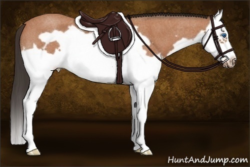 Horse Color:Bay Roan Splash Frame 