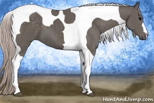 Horse Color: Silver Black Tobiano 