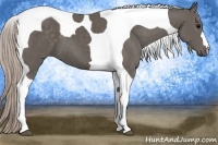 Horse Color:Silver Black Tobiano