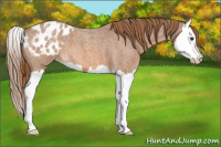Horse Color:Red Roan Splash Blanket 