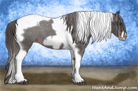 Horse Color:Liver Chestnut Tobiano Frame Blanket 