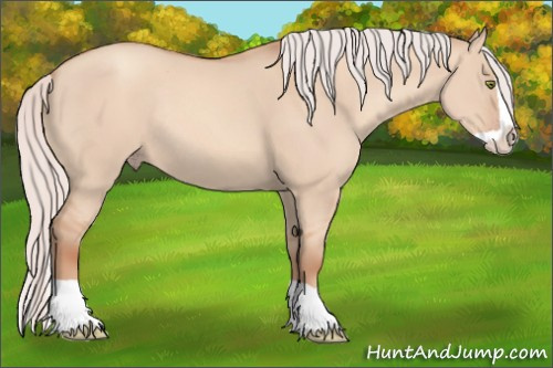 Horse Color: Silver Sable Champagne Dun Splash Rabicano 