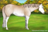 Horse Color:Gray Palomino Pearl Splash Rabicano 
