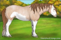 Horse Color:Bay Roan Pearl Splash Frame Rabicano 