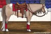 Horse Color:Bay Dun Sabino Splash Appaloosa Rabicano