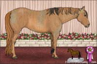 Horse Color:Buckskin  Brindle