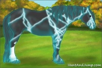Horse Color:Thunderstruck Black 