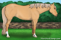 Horse Color:Palomino Dun 